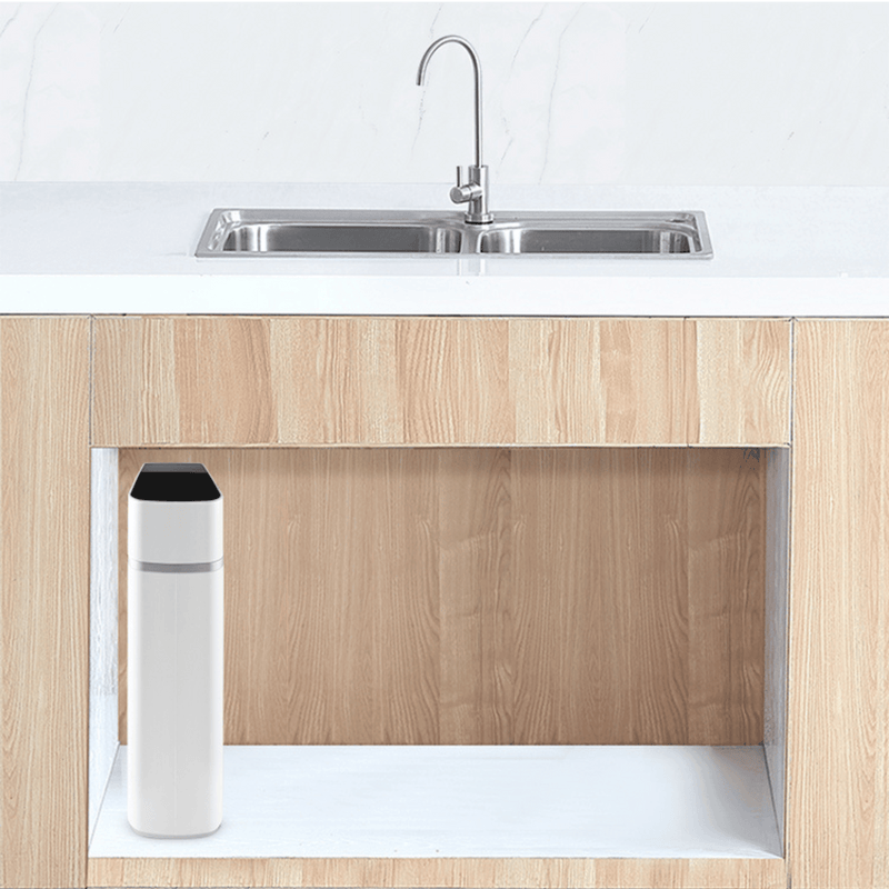 Echo Tankless Reverse Osmosis System
